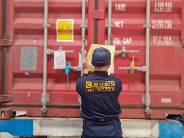 Customs authorities integration